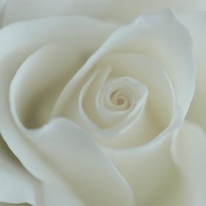 Anabelle Beige | Women's Fashion Curator